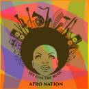 Afro Nation 